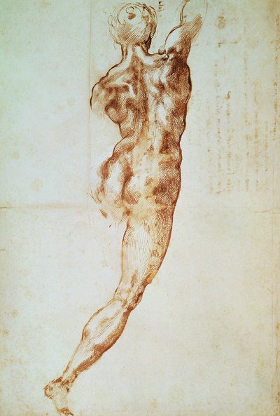 Nudo, studio per la Battaglia di Cascina da Michelangelo Buonarroti